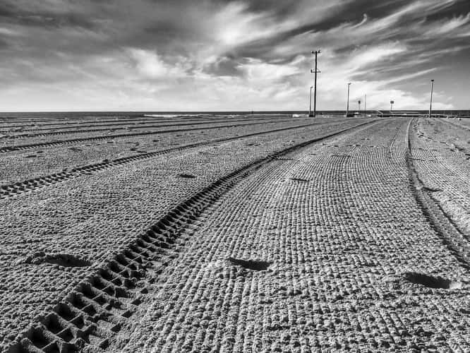 Tracks to the pool Mona Vale Beach