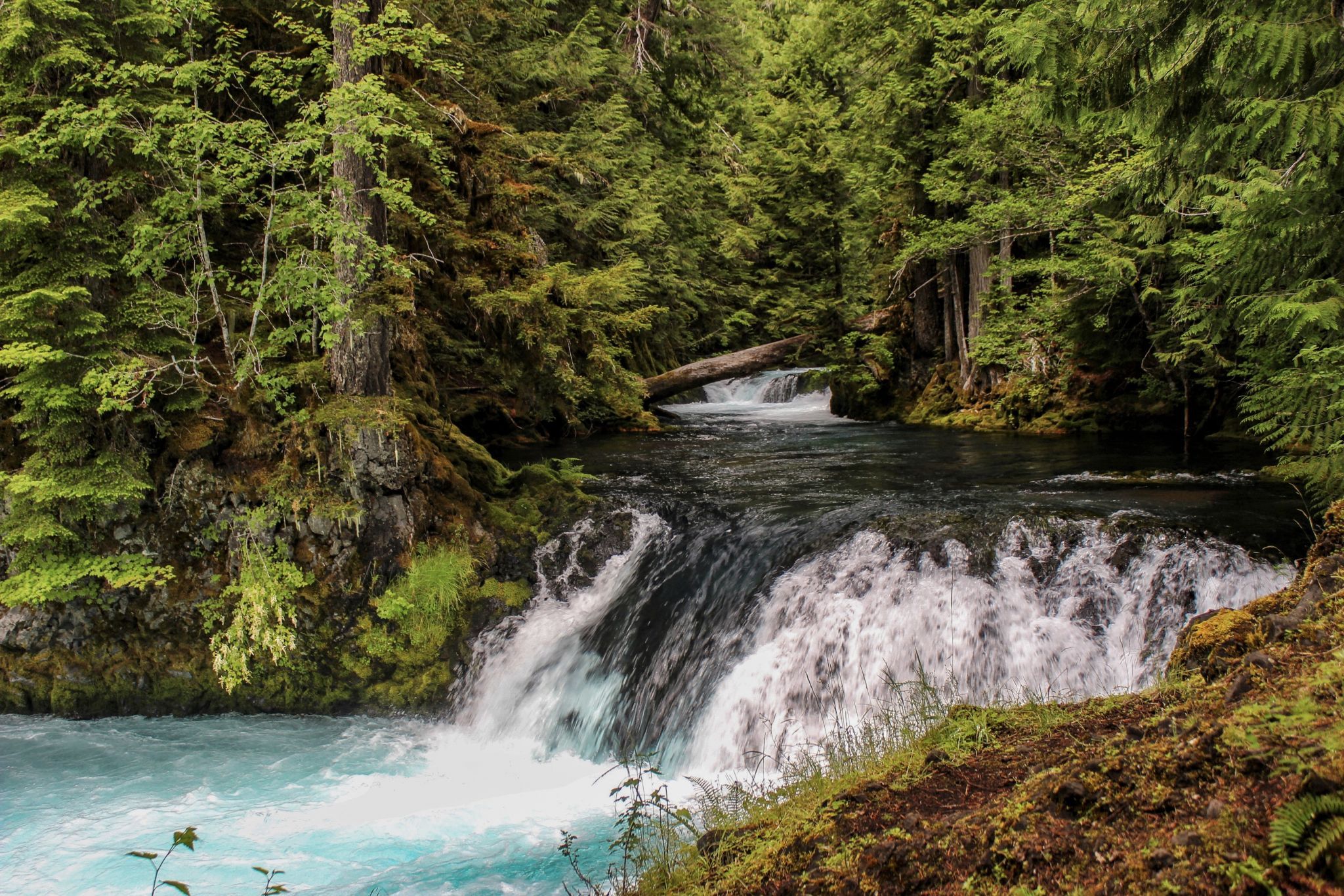 Upstream from Sahalie Falls, USA