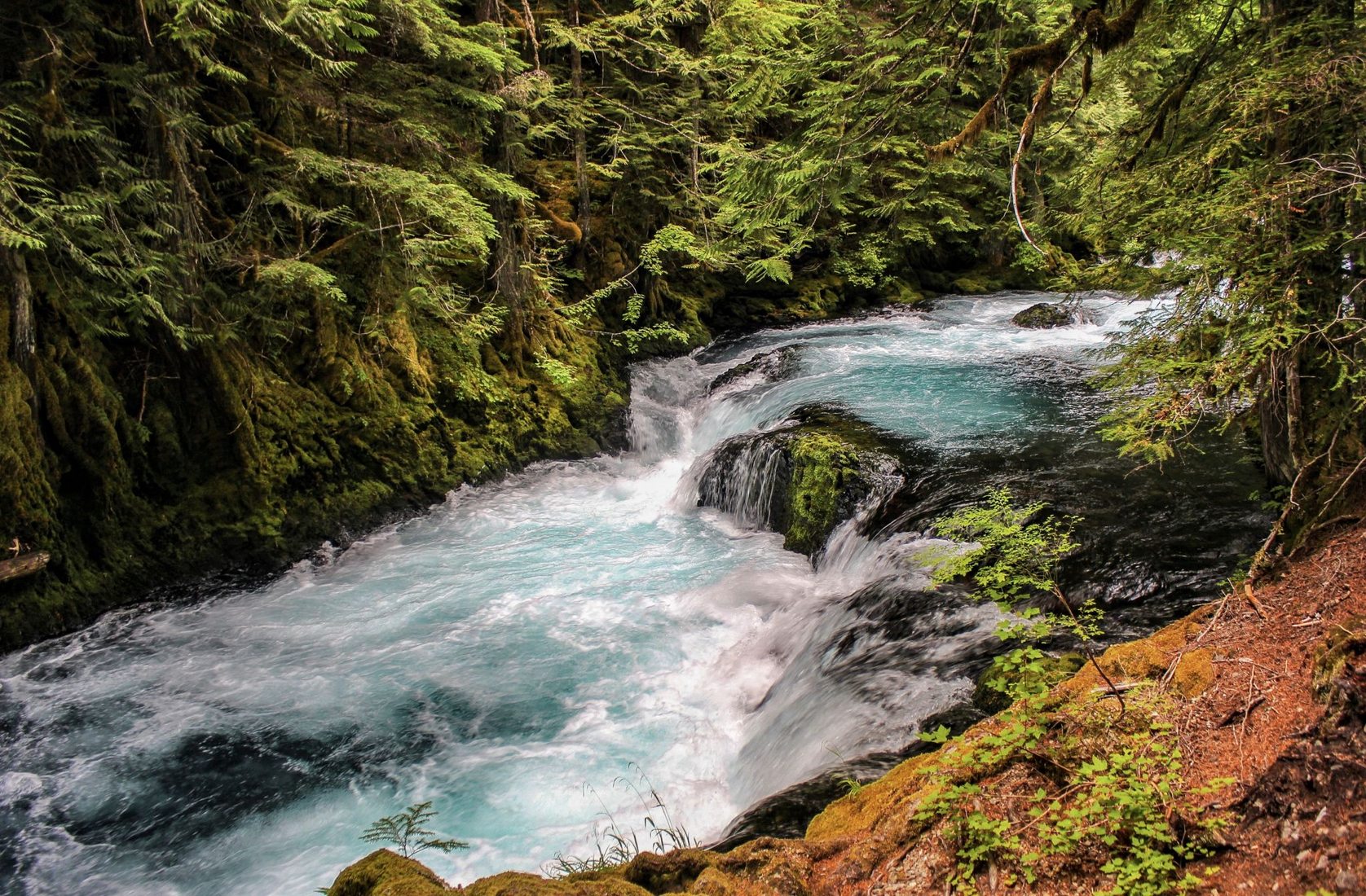 Upstream from Sahalie Falls, USA