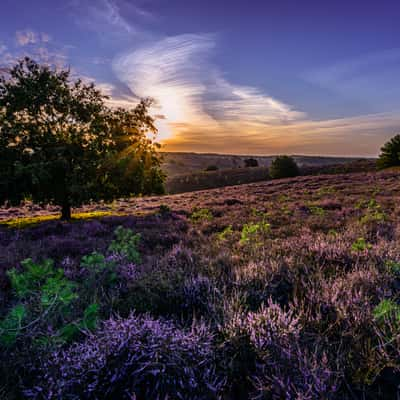 Veluwezoom, Netherlands