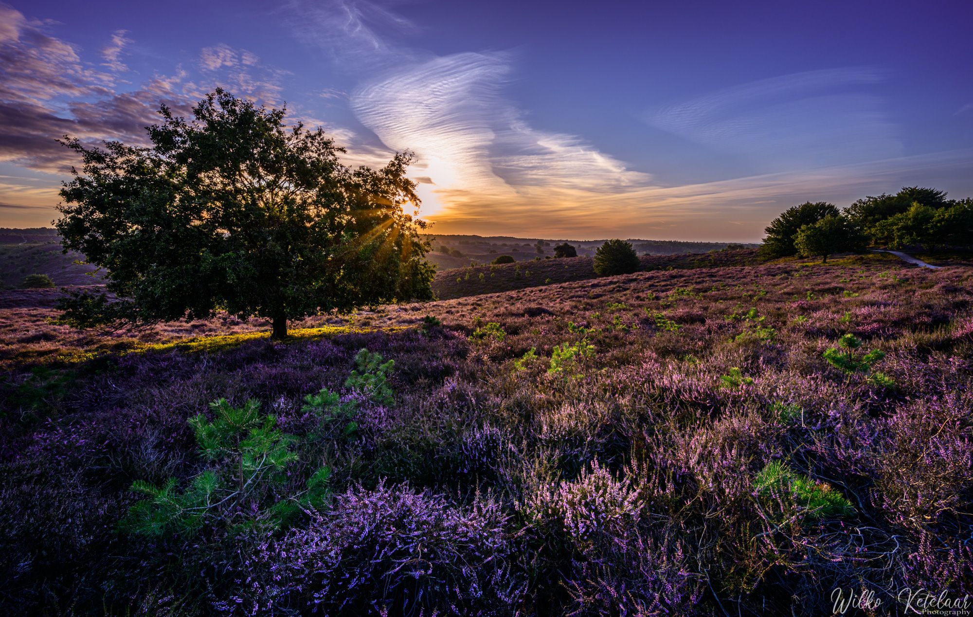 Veluwezoom, Netherlands