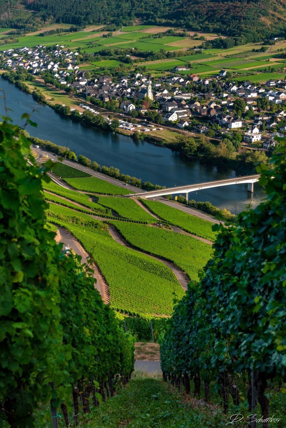 View down to Lösnich, Germany