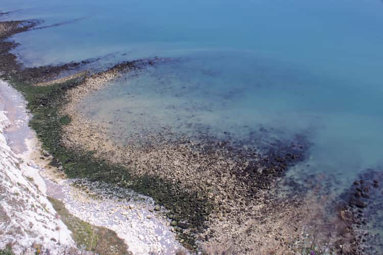 View from near Dover Lighthouse (cliffs)