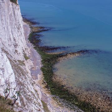 View from near Dover Lighthouse (cliffs), United Kingdom