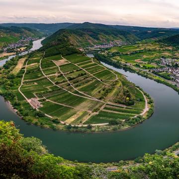View of the Moselle loop near Bremm, Germany