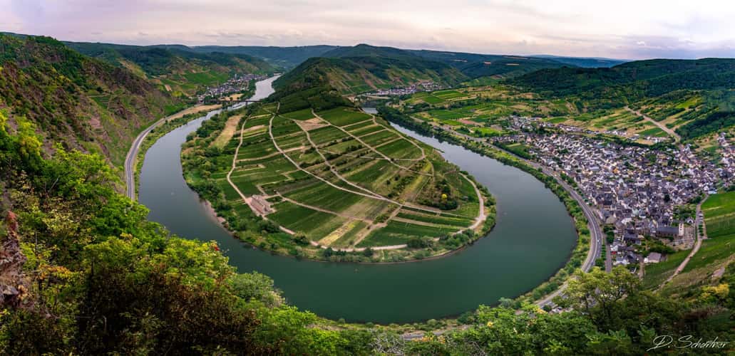 View of the Moselle loop near Bremm