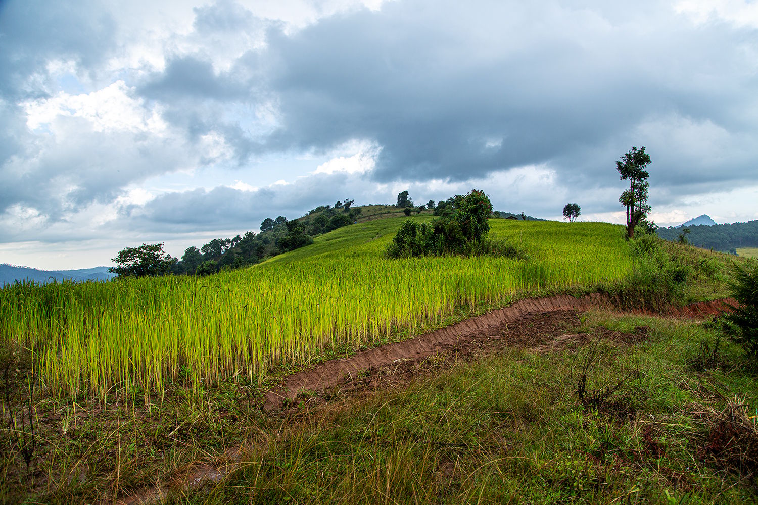 Von Kalaw zum Inlesee, Myanmar