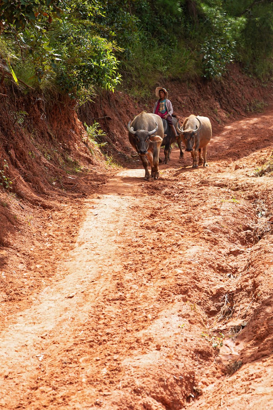 Von Kalaw zum Inlesee, Myanmar