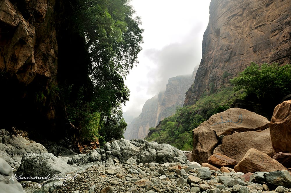 Wadi Lajab, Saudi Arabia