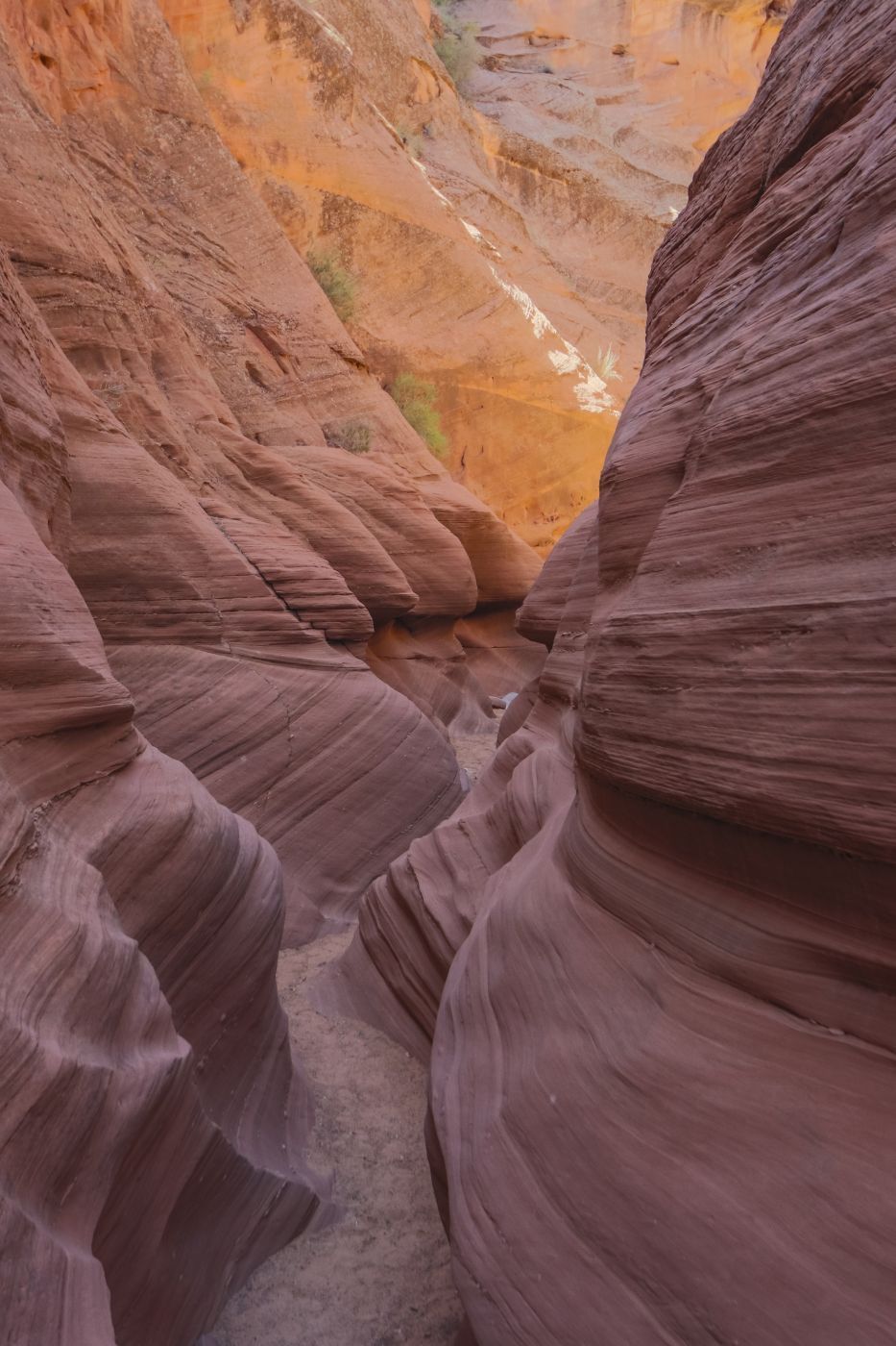 Waterhole Canyon, USA