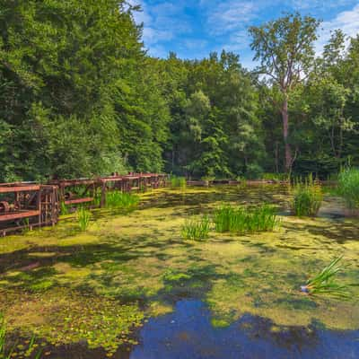 Waterloopbos, Netherlands