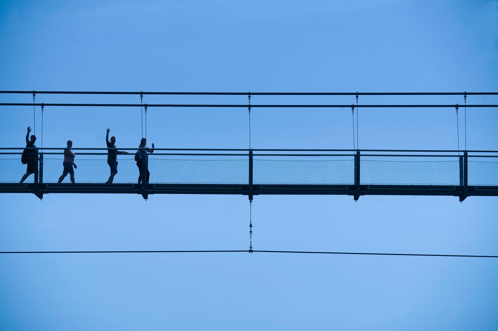 Wildline Bridge, Germany