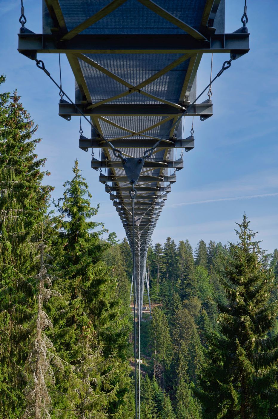 Wildline Bridge, Germany