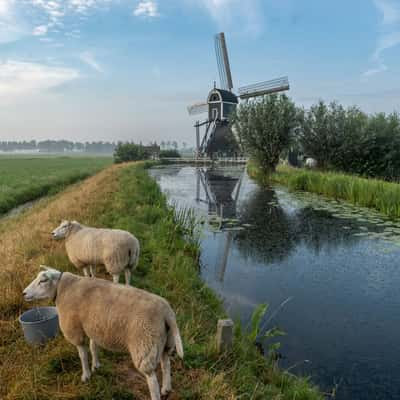 Wingerdse Molen, Bleskensgraaf, Netherlands