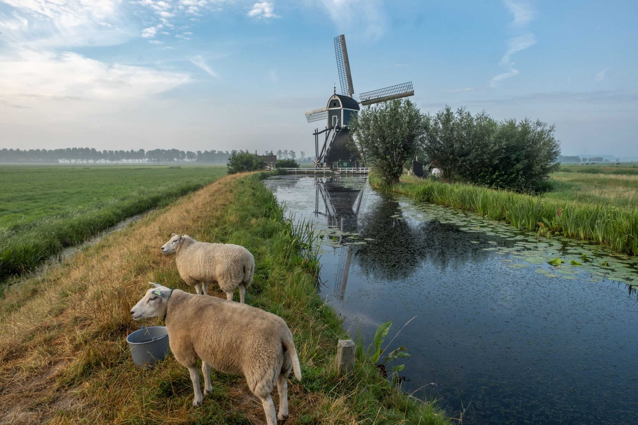 Wingerdse Molen, Bleskensgraaf, Netherlands