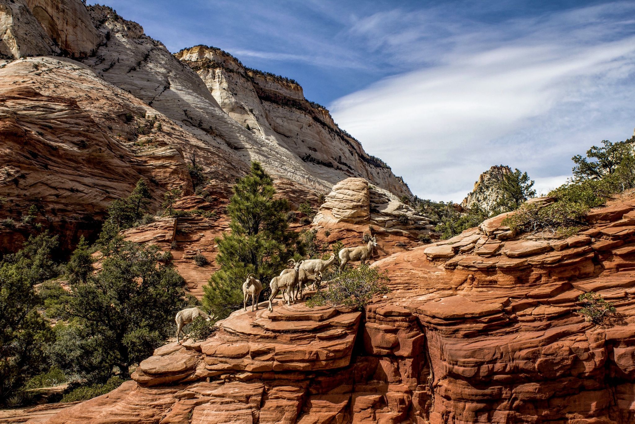 Zion East Side, USA