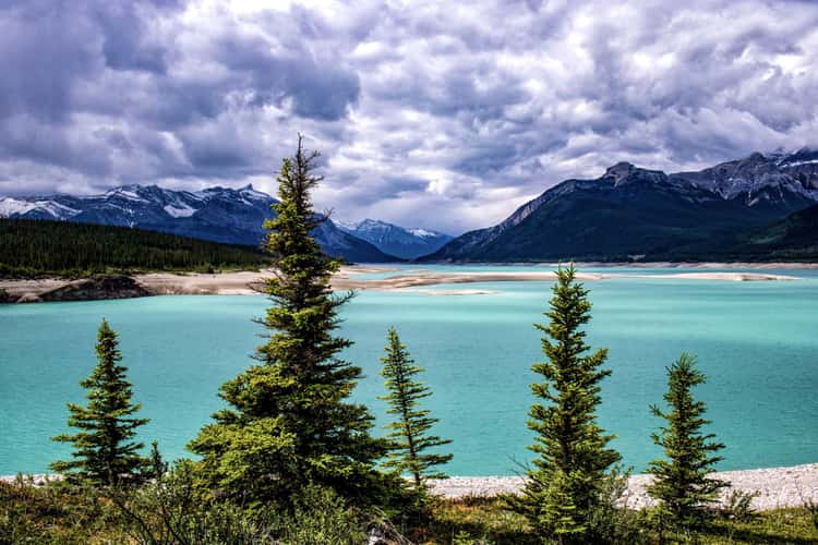 Abraham Lake