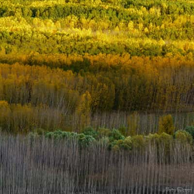 Andalusian Autumn palette, Spain