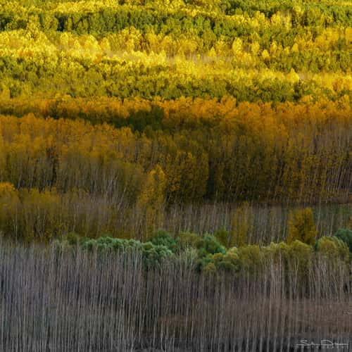Andalusian Autumn palette