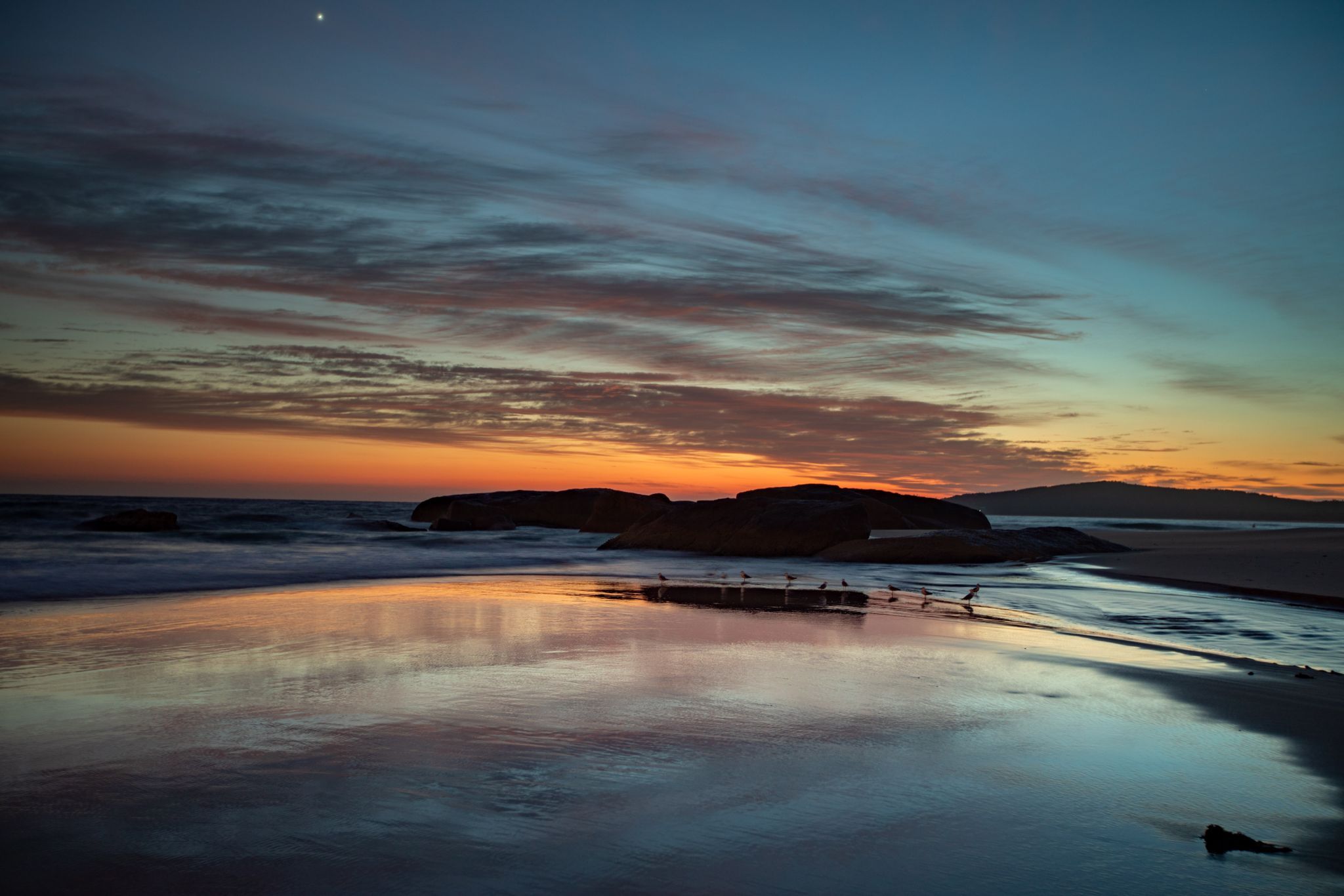 Beach & seagulls sunrise South West Rocks New South Wales, Australia