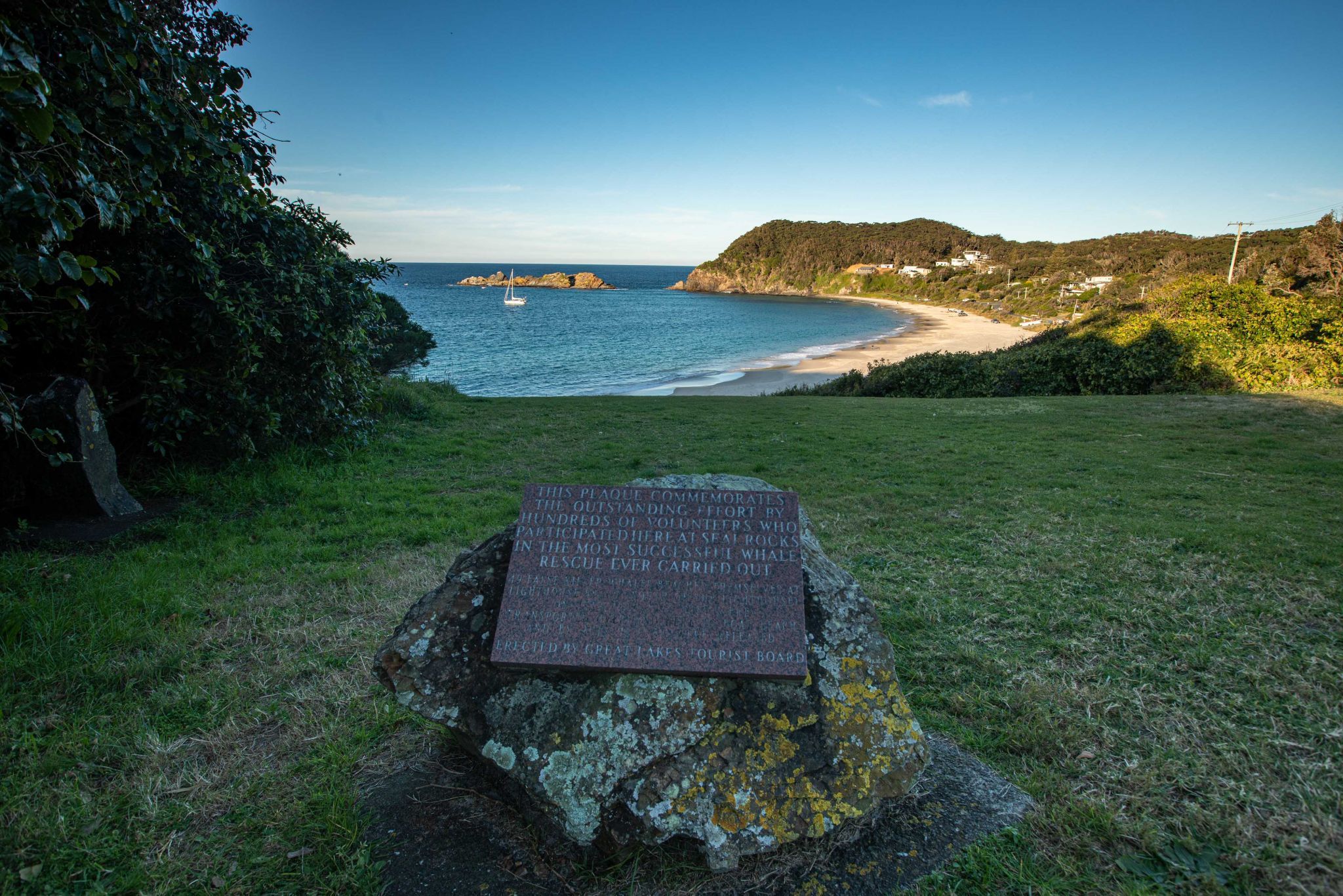 Beach Whale rescue spot Seal Rocks New South Wales, Australia