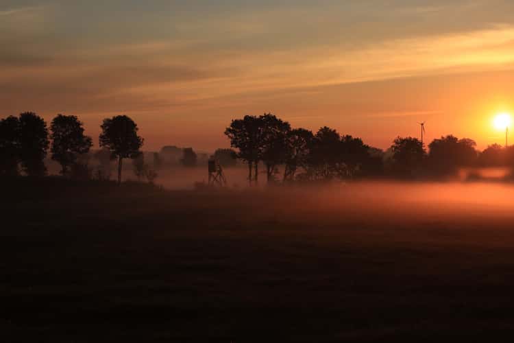 Blick auf dem Sonnenaufgang Schmitthausweg