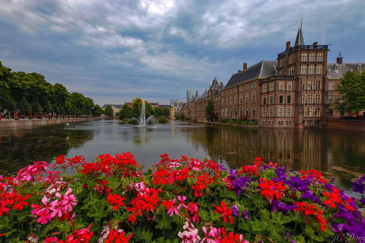 Buitenhof - The Hague