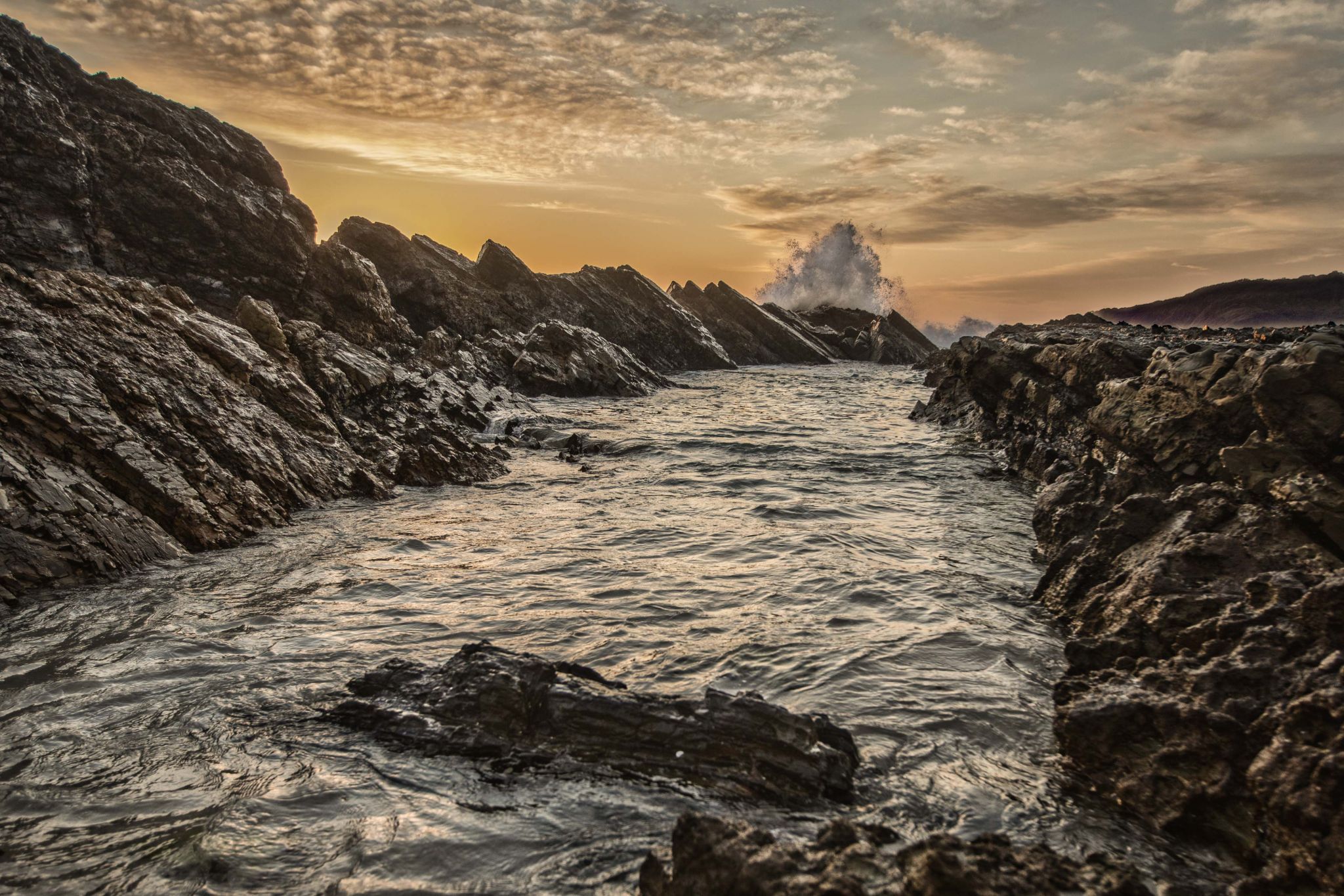 Burgess Beach Wave sunrise Forster New South Wales, Australia