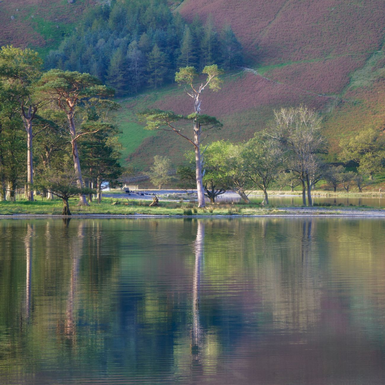 Buttermere Lake, Lake District National Park, United Kingdom