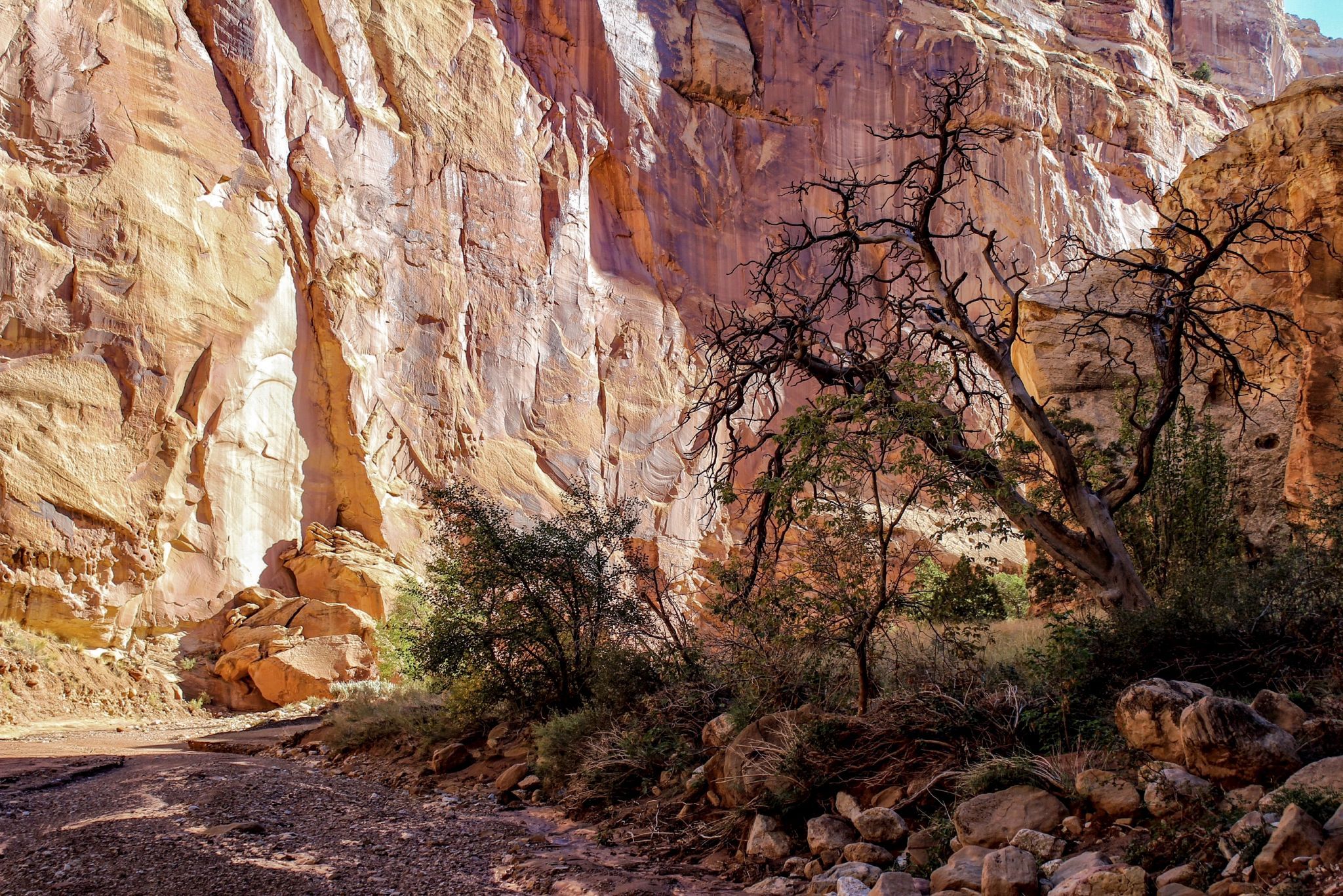 Capitol Gorge Road, USA