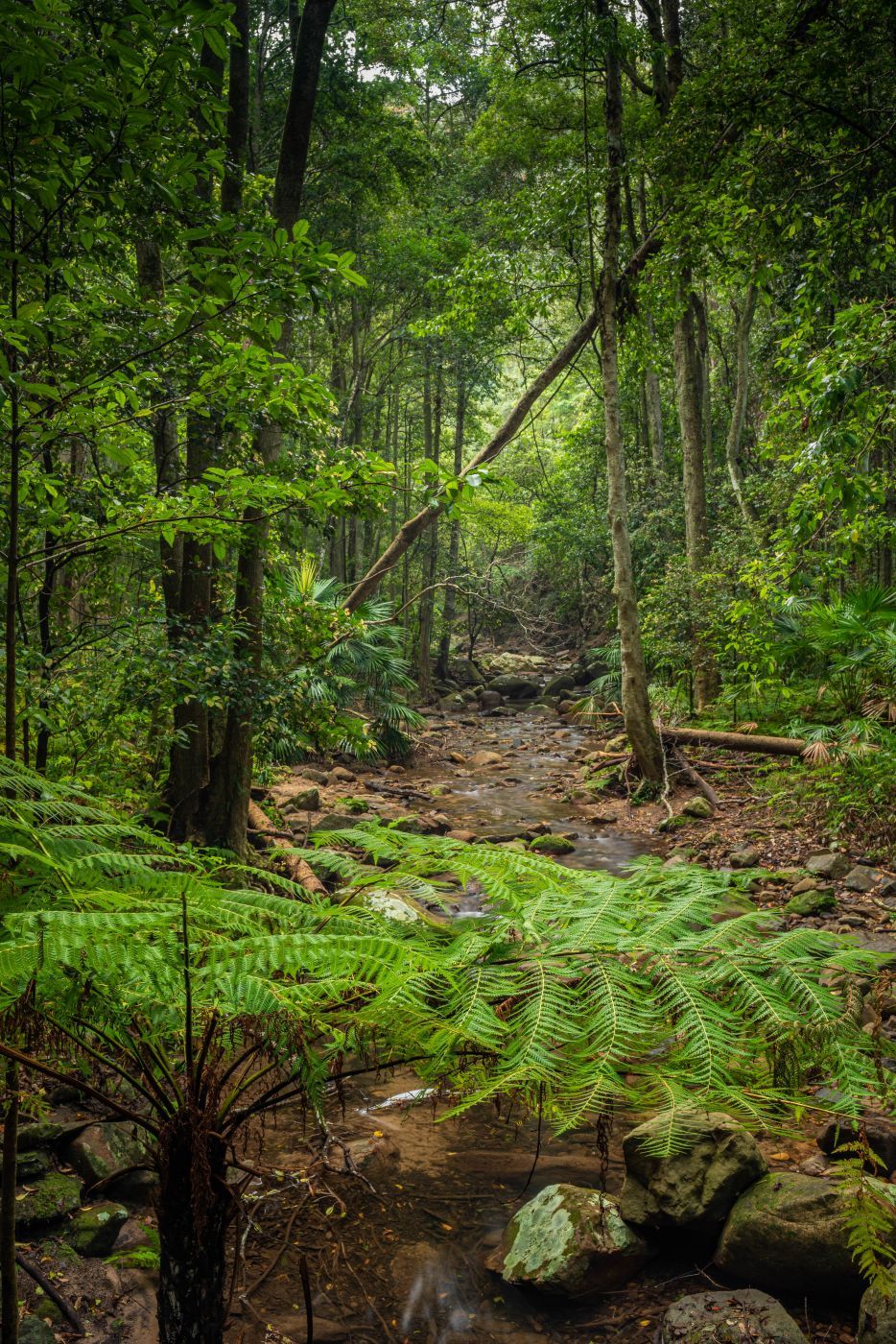 Cascade Track, Australia