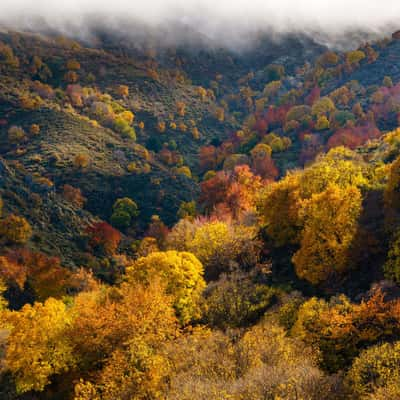 Color explosion, Spain