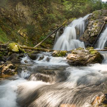 Fairy creek falls, Canada