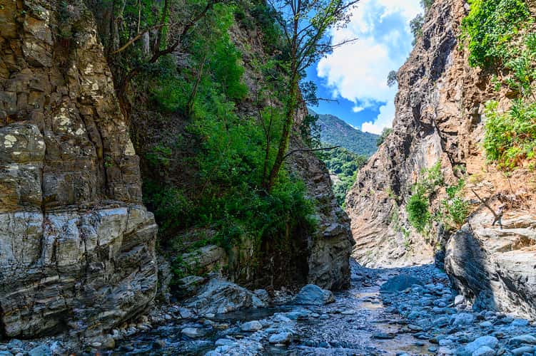 Fiumara Laverde