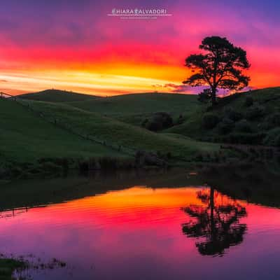 Hobbiton, New Zealand