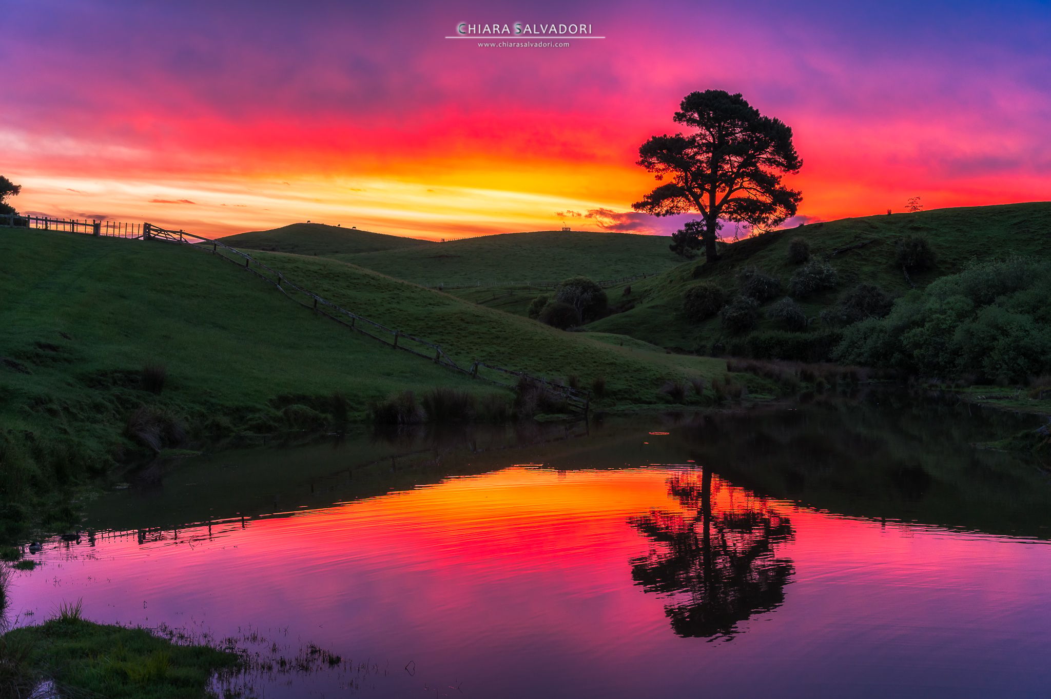 Hobbiton, New Zealand