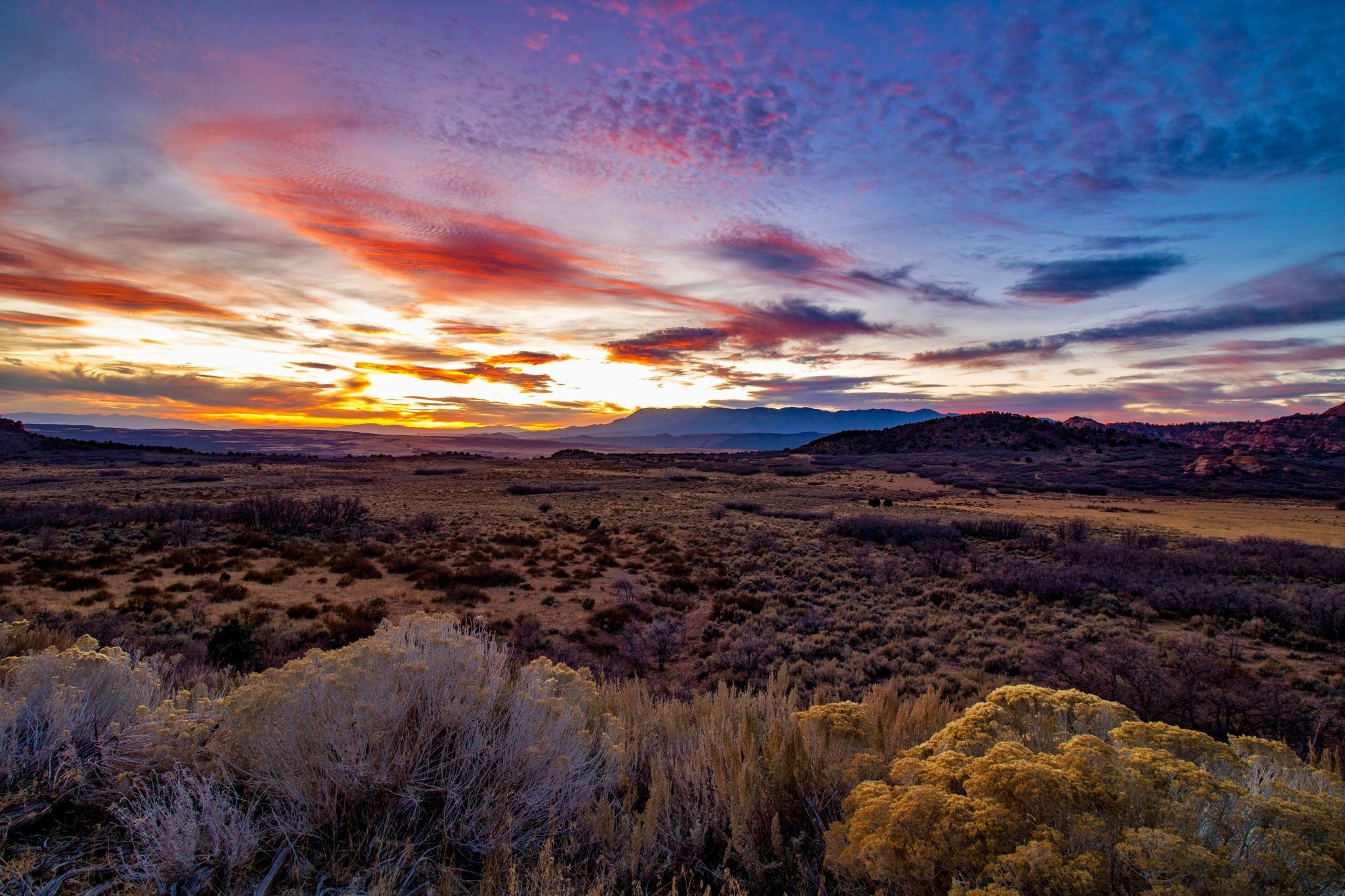 Hop Valley View, USA