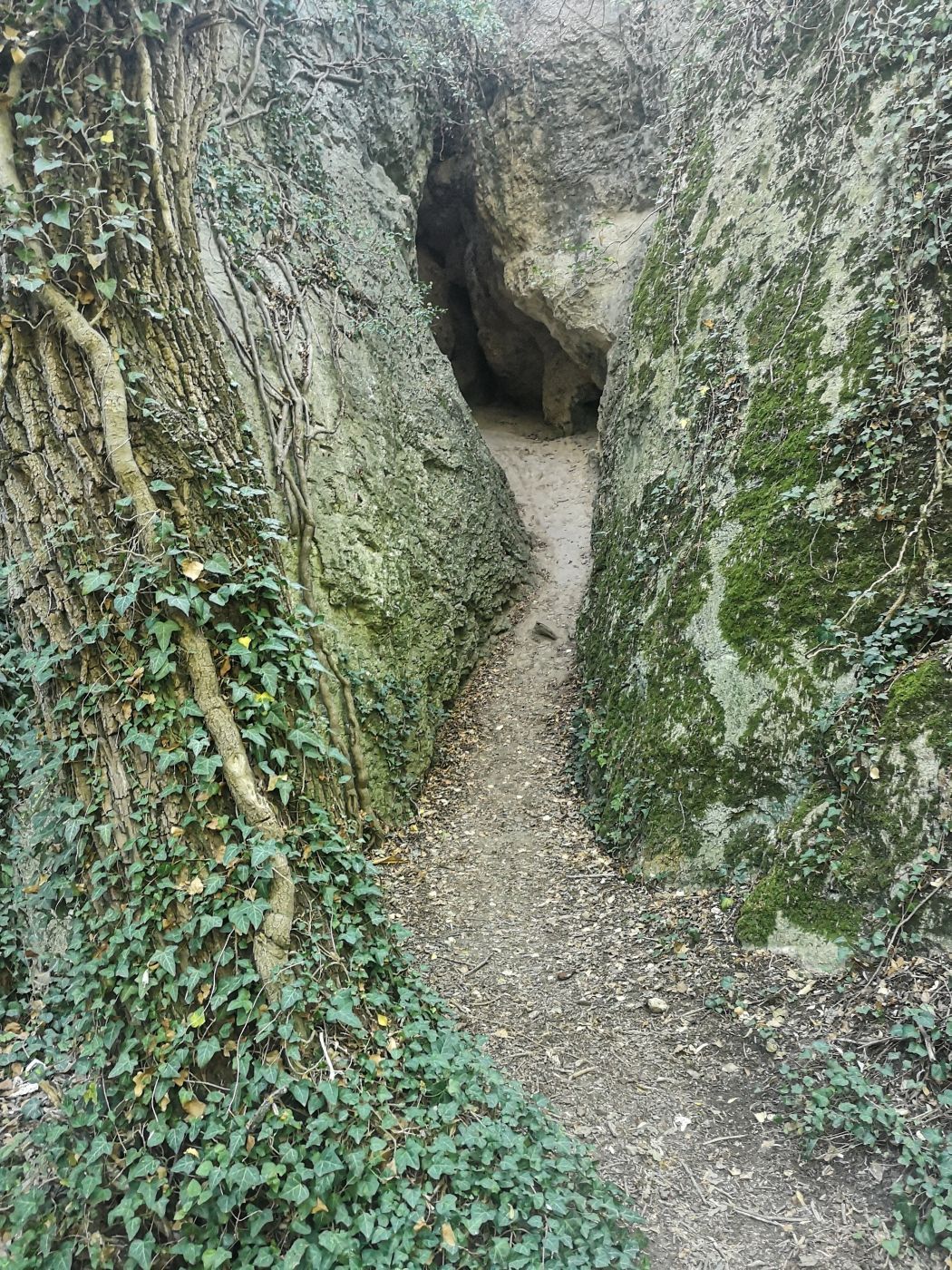 Hotnitsa Waterfall & Canyon, Bulgaria
