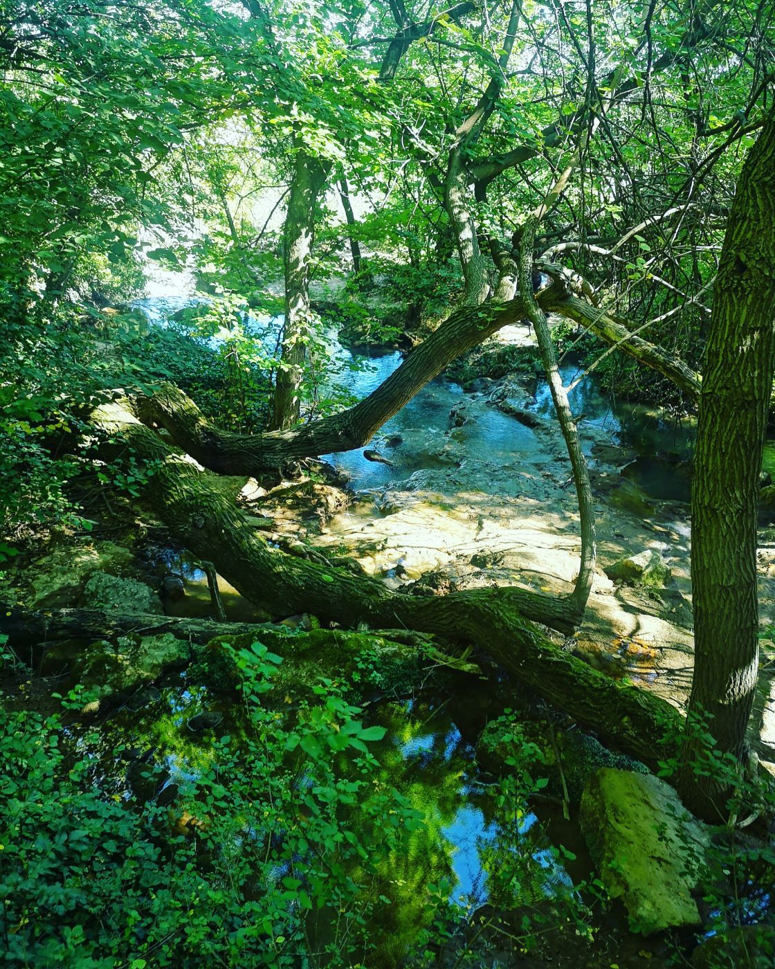 Hotnitsa Waterfall & Canyon, Bulgaria