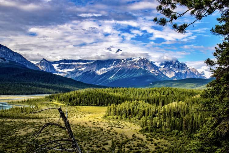 Howe’s Pass Viewpoint
