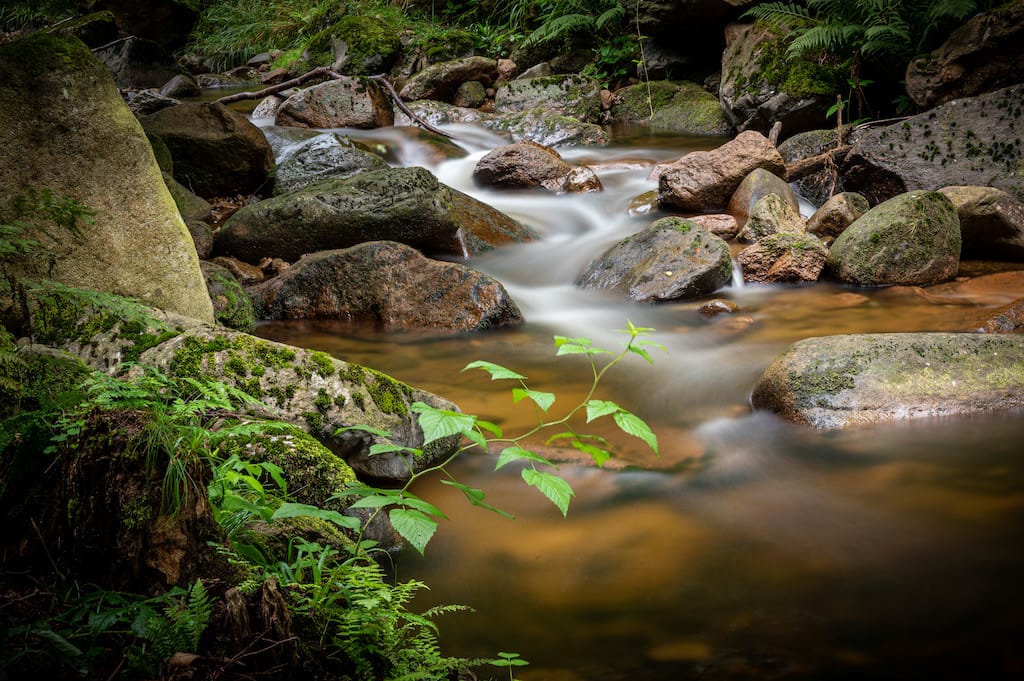 Ilsetal Harz, Germany