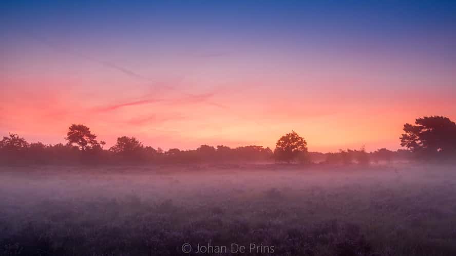 kalmthoutse heide