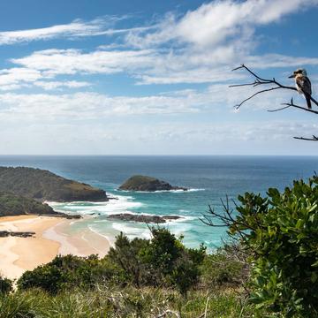 Kookaburra North Smokey Beach South West Rocks, Australia