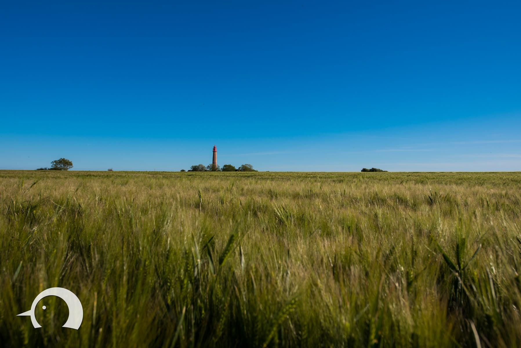 Flügge Lighthouse, Germany