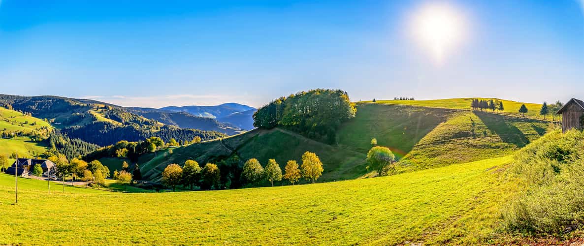 Luginsland Black Forest