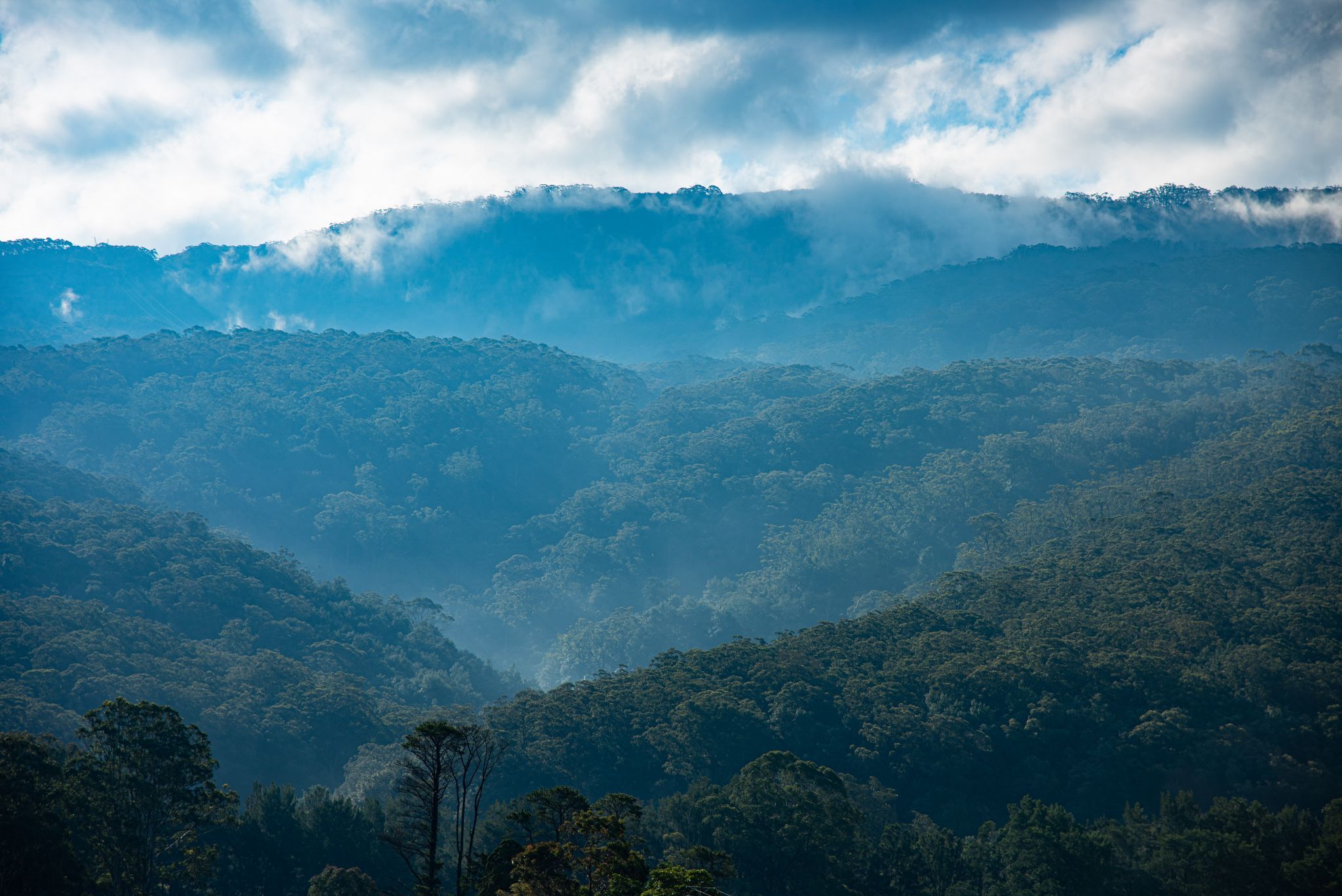 Macquarie Pass, Australia