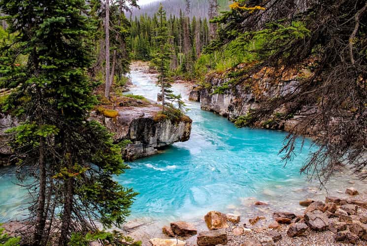 Maligne Canyon