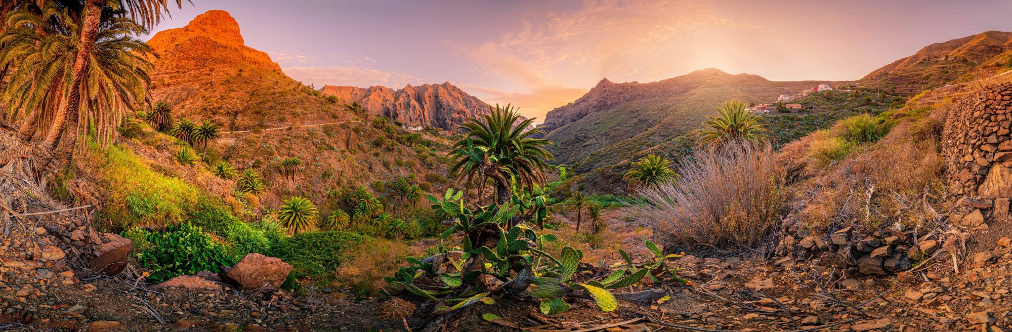 Masca Cactus Tenerife, Spain