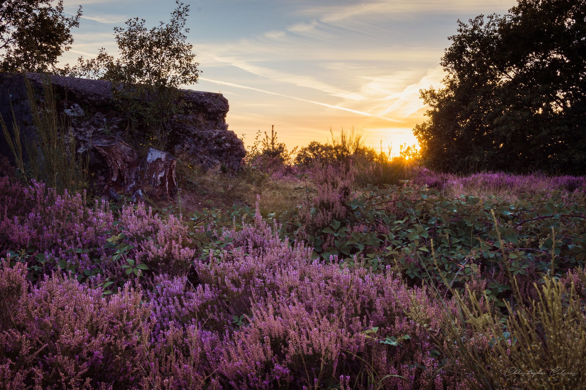 Mechelse Heide, Belgium