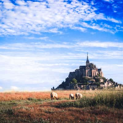 Mont Saint-Michel Peer, France